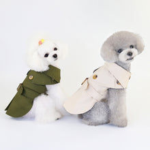 Stylish Dresses for Small Pets - Furrero