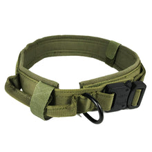 Heavy-Duty Dog Collars - Furrero