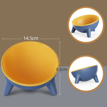Two-Toned Cat Bowls with Stand - Furrero