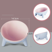 Two-Toned Cat Bowls with Stand - Furrero
