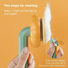 Pumpkin-Shaped Self Cleaning Grooming Brush - Furrero