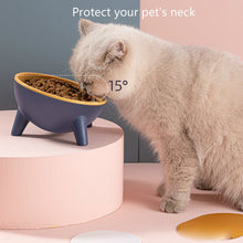 Two-Toned Cat Bowls with Stand - Furrero