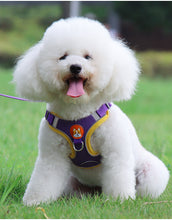 Reflective Soft Mesh Harness with Chest Strap and Leash - Furrero