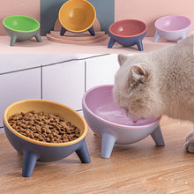Two-Toned Cat Bowls with Stand - Furrero