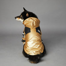 Cool Looking Dog Jackets - Furrero