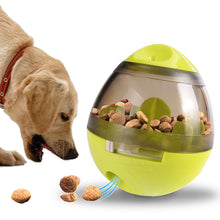 Snack & Play Pet Puzzle Dispenser - Furrero