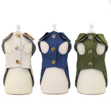 Stylish Dresses for Small Pets - Furrero