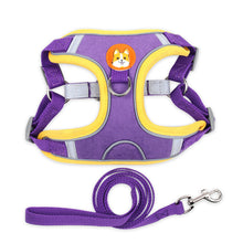 Reflective Soft Mesh Harness with Chest Strap and Leash - Furrero