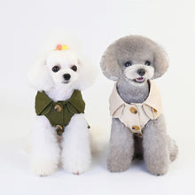 Stylish Dresses for Small Pets - Furrero