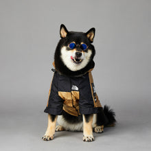 Cool Looking Dog Jackets - Furrero