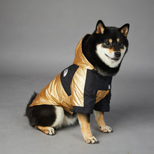 Cool Looking Dog Jackets - Furrero