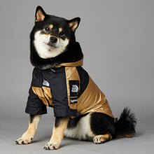 Cool Looking Dog Jackets - Furrero
