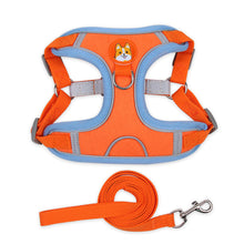 Reflective Soft Mesh Harness with Chest Strap and Leash - Furrero